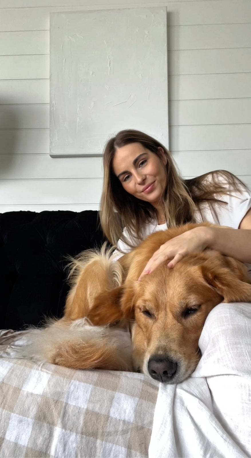 How Pet Dander Builds Up — and Why It Attracts Pollen in Your Home