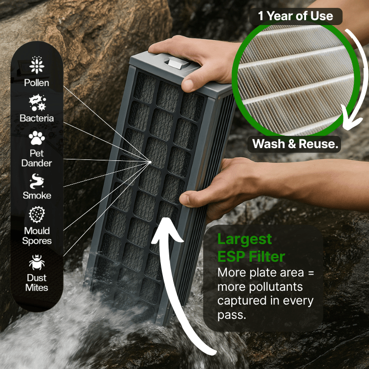 Sustainable Purifier AirRepair