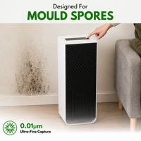 Sustainable Purifier AirRepair