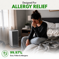 Sustainable Purifier AirRepair